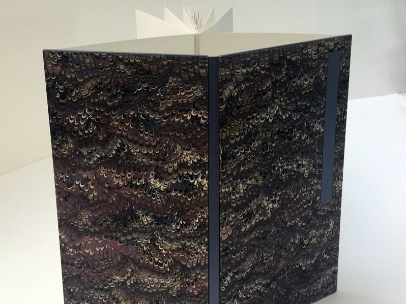 Noreen Grant - Concertina Book with removable spin