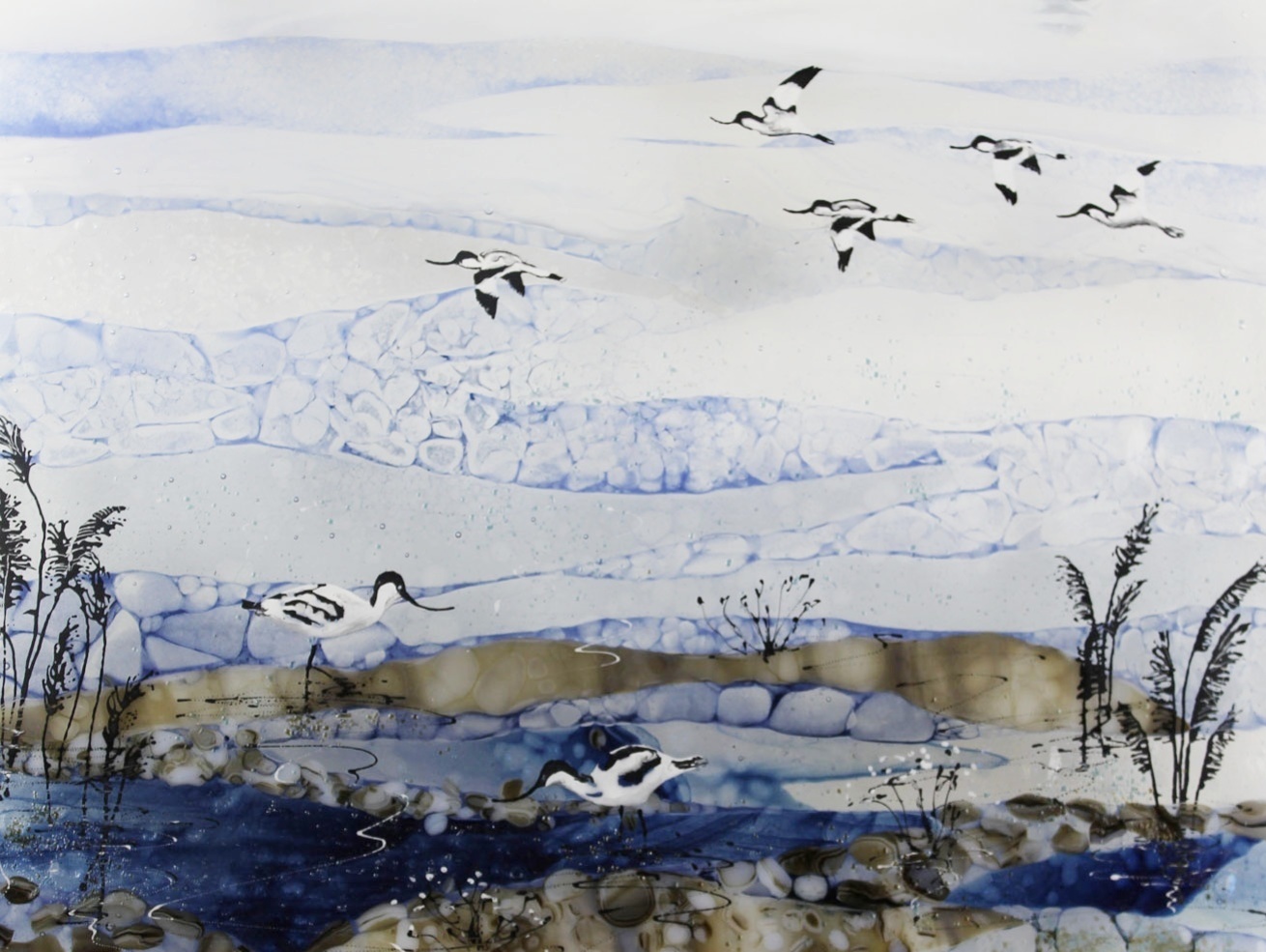Cathy Constable - Pied Avocets