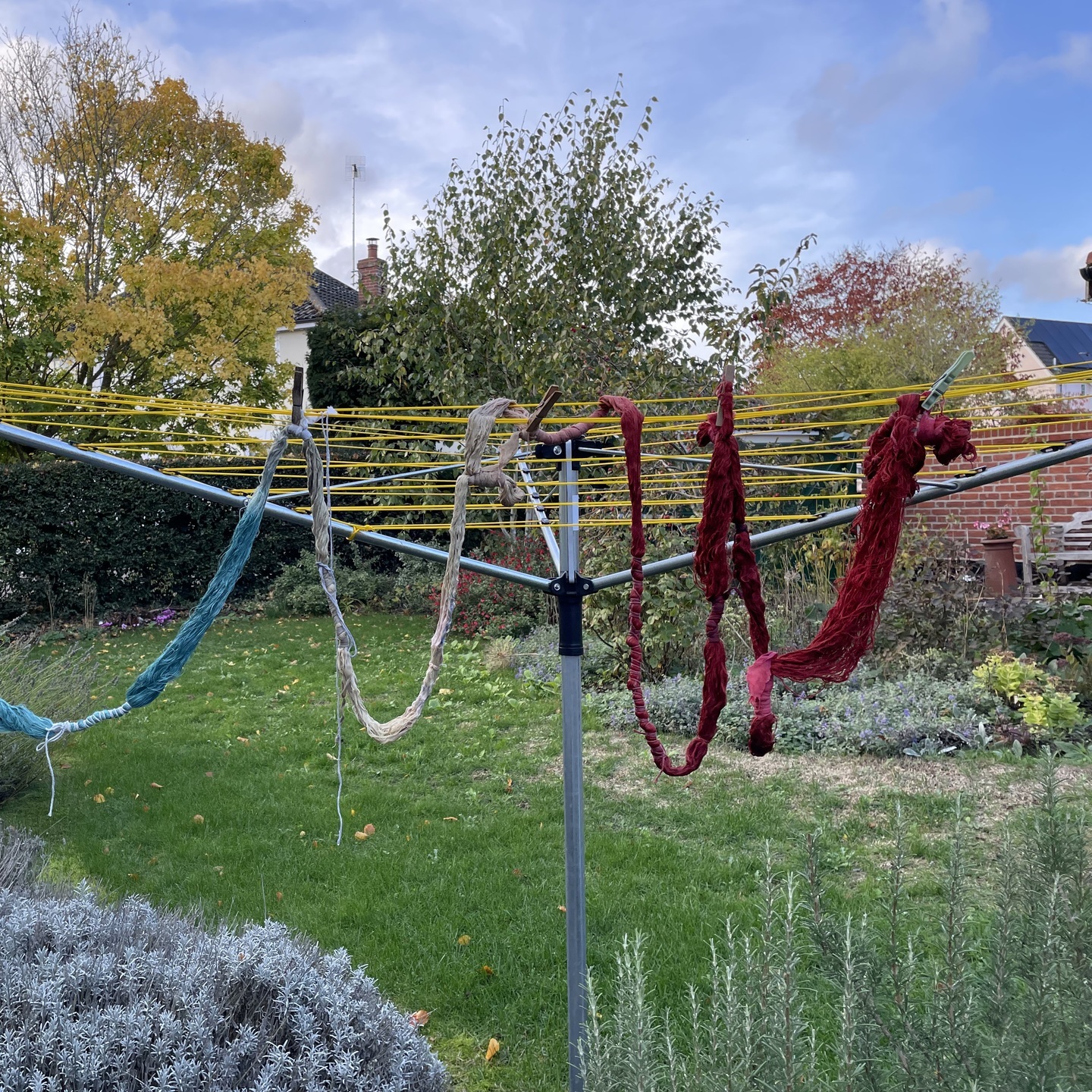 Warp drying after dyeing